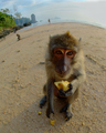 Thank you mister