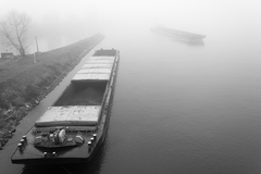 From the Mist