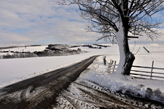 nasnežilo