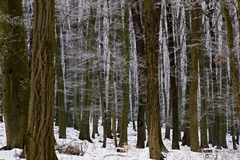 strieborný preliv