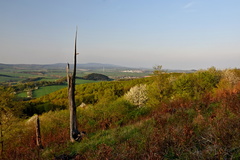 jarná krajina