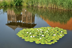 zrkadlenie
