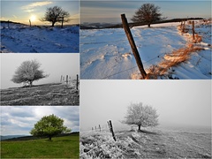 solitér...