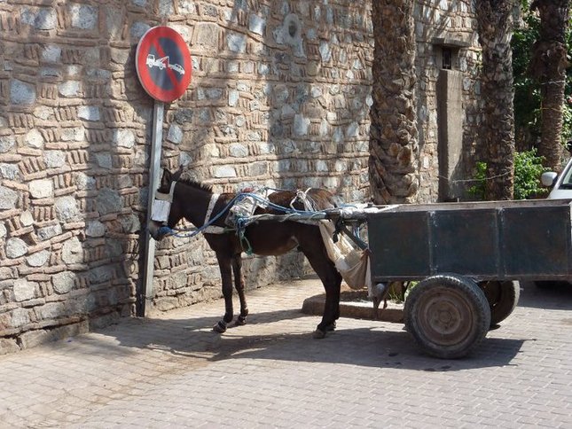 parking