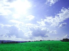 Windows wallpaper? :)