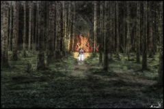 The chosen path