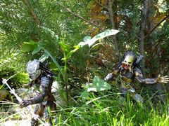 Predators