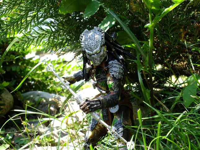 Predator