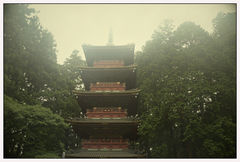 ráno pri pagode