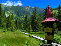 Temnosmrečinská dolina