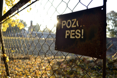 Pozor pes!