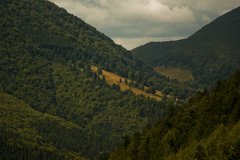 Mala Fatra