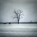 Strom