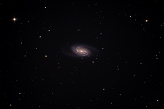 NGC 2903