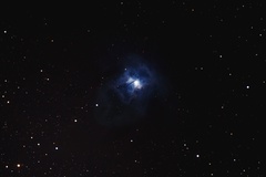 NGC 7023 - Iris