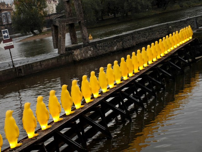 penguins