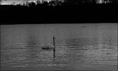 Loch ness