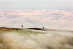 Magická krajina XXVIII