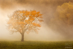 Magická krajina XVII