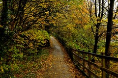 chodník