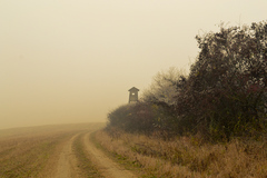 Ničota