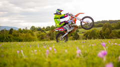 Wheelie