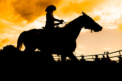 Rodeo