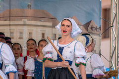 Folklórny súbor_2