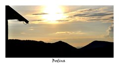 bodina