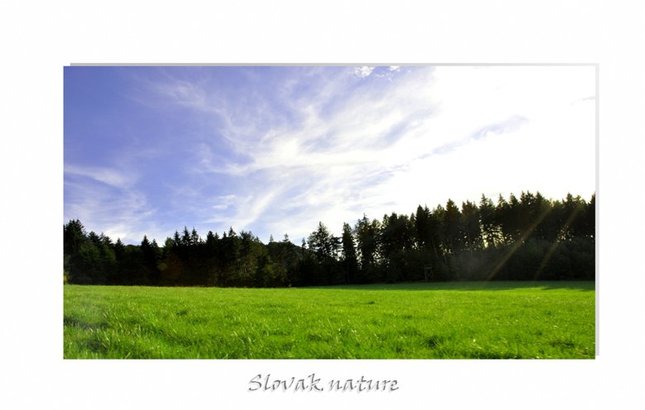 slovak nature