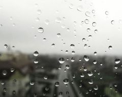 It´s rainy....