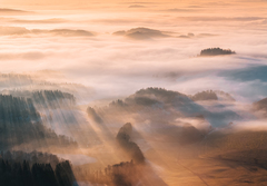 AWAKENING