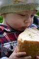 ukradnuty chlieb pre sliepky:-)
