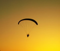 Paraglid