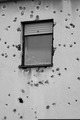 back window