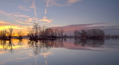 eštezimnorybníková