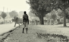 tu autá nechceme...III