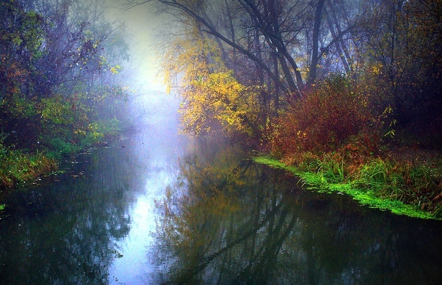 podoby lužných lesov I.