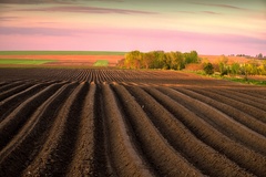 mozgové závity zeme