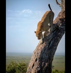 uuufff, to je výška...