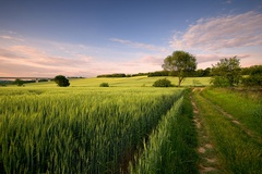 taký poľný cvak...II