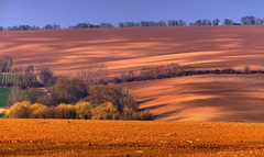 zjarnieva sa