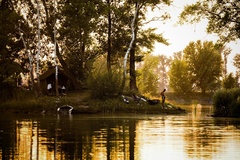 na našom rybníku III