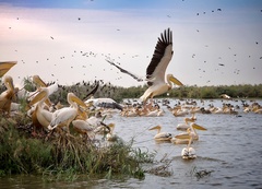 kto sa tu má vyznať...