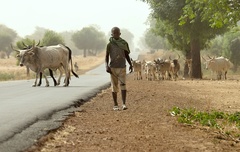 tu autá nechceme...II