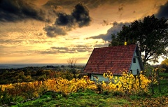 večery vo vinici II.