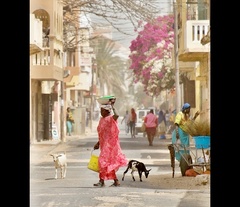 kto žije v meste I.