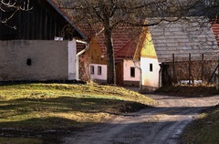siluety viničné