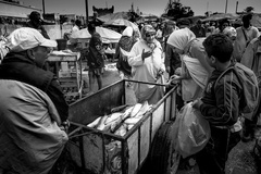 neboj moja, už nehryzú...