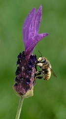 už sa to blíži...